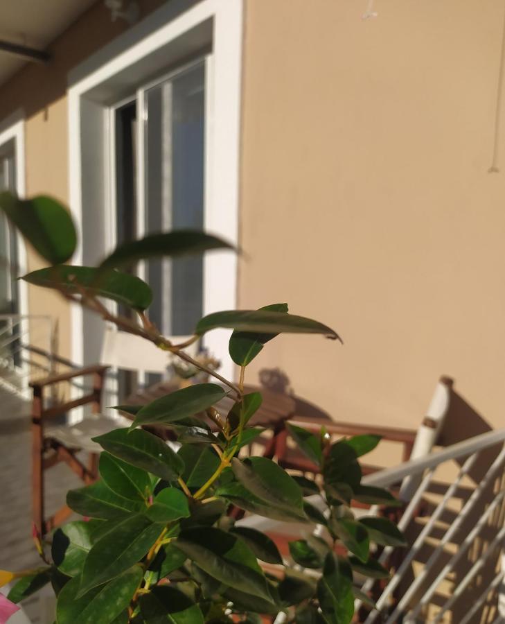 Apartmani Vico Herceg Novi Eksteriør bilde